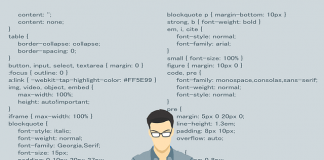 Working Of A Wordpress Developer