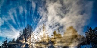 Steam User Search — Find New Steam Friends