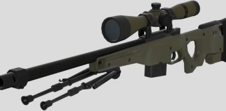 AWP Gun — What does AWP Gun Stand for? AWP Gun