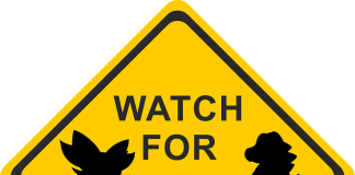 Pokémon Go Cheat Lets You Walk Anywhere In The Game Without Moving