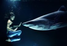 Three of the Best Games Featuring Sharks