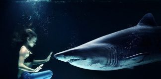 Three of the Best Games Featuring Sharks