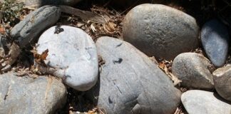 6 Signs That Your Drain Is Blocked