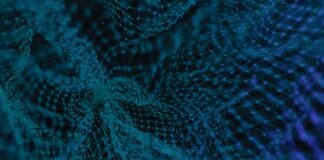 What Are the Foundations of Quality RDM?