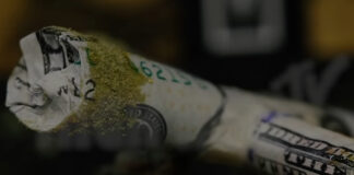 Moonrock Pre-Roll Joints Quality- How To Know What Is Inside