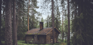 Cabin Rental Business for Sale: 6 Things to Know Before Investing in One