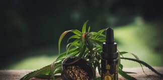 A Guide to Using CBD For Injuries