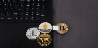 A guide for the new players in the cryptocurrency market!