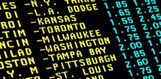 Standard and Special Functions of the Sportsbook Software