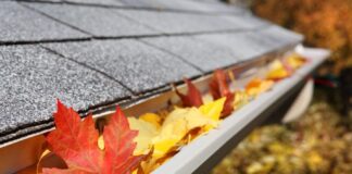 5 Essential Roof Maintenance Tips to Keep the Roof on Your House in Top Condition C:\Users\b m c\Downloads\load-image (14).jpg