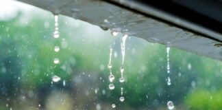 When It Rains, It Pours: How to Weatherproof a Door C:\Users\b m c\Downloads\load-image (15).jpg