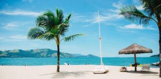 Vacations: Which Beaches You Must See coconut tree near shore within mountain range