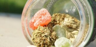 Make Your Day Easier With These CBD Products green and white powder in clear glass bowl