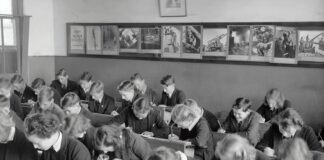 8 Strong Reasons to Do Essays in School grayscale photo of people sitting on chair