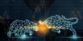 Your Guide to Bullish and Bearish Trends in the Crypto Market