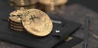 Is Cryptocurrency Accepted Worldwide? silver round coin on black leather case