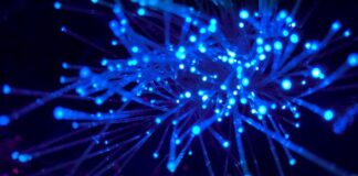 Misconceptions About Broadband and Internet Connectivity purple and blue light digital wallpaper