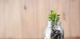 3 Profitable Business Ideas You Never Would Have Imagined