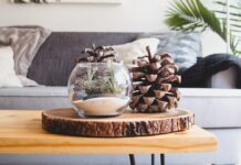 Popular Home Goods Products at a GREAT value! clear fishbowl beside pine cones on brown wooden table