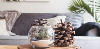 Popular Home Goods Products at a GREAT value! clear fishbowl beside pine cones on brown wooden table