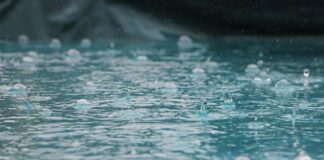 What Are the Benefits of Protective Car Covers img