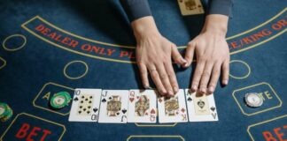 High Stakes and High Rewards: The Wildest Gambling Tales Ever