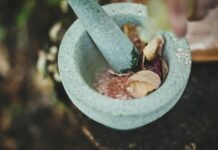 Herbal Harmony: A Guide to Incorporating Kratom and Other Wellness Herbs into Your Lifestyle gray ceramic mortar and pestle