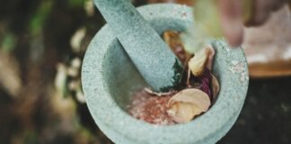 Herbal Harmony: A Guide to Incorporating Kratom and Other Wellness Herbs into Your Lifestyle gray ceramic mortar and pestle