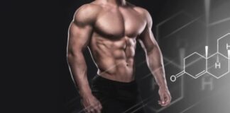Testosterone and Beyond: Different Types of Hormone Therapy for Men Testosterone and Beyond- Different Types of Hormone Therapy for Men .jpeg