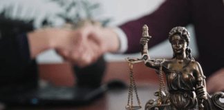 Defend Your Reputation: The Role of a Professional License Defense Lawyer