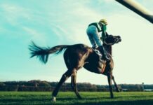 Why Horse Racing Remains a Major Attraction for Bettors a jockey riding a horse in a grassy field
