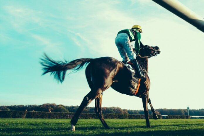Photo by Mike Kotsch a jockey riding a horse in a grassy field