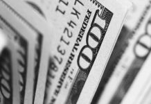 Tips for Optimizing Your Investment Portfolio closeup photo of 100 US dollar banknotes