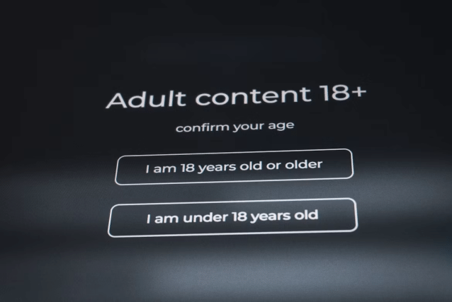 adult-website-seo-inside-the-adult-niche-where-o